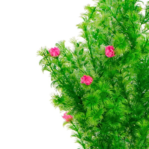 Kruger Meier Plant Rosebud - tekokasvi