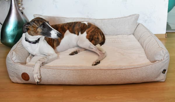 Rocky ortopedisk beige långsäng - 97 cm x 86 cm