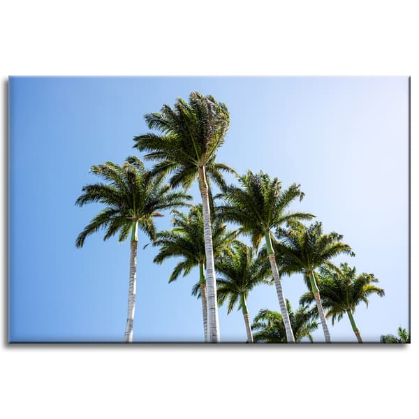 Canvastaulu Luonto Palmut 60x40 cm