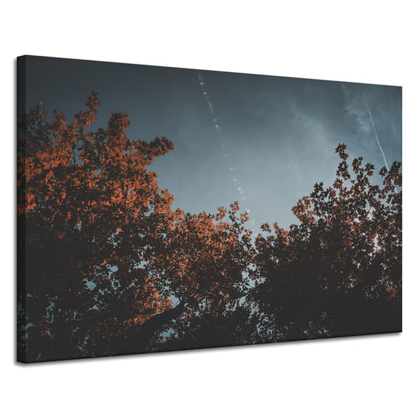 Lærredstryk Orange trækroner 120x80