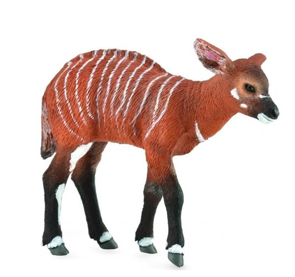 Bongo-lehmä