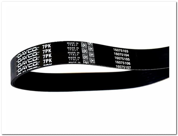 DY 7PK1240 DAYCO MICRO-V-REM