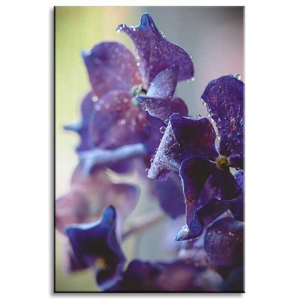 Lærredstryk Botanik Hortensia blomst 40x60 cm