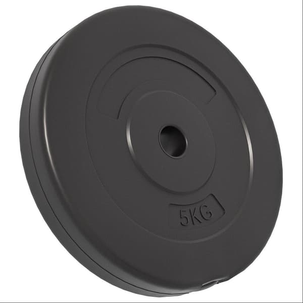 vidaXL vægtskiver, 6-pak, 30 kg, cement
