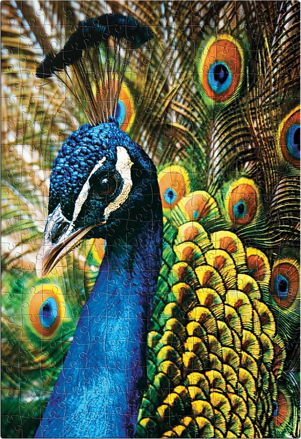 Puzzle 250 Värikäs luonto 1 Riikinkukko