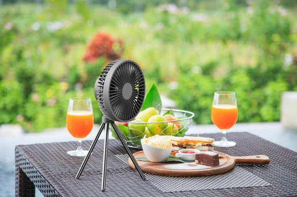 Heckermann DQ213 standerventilator