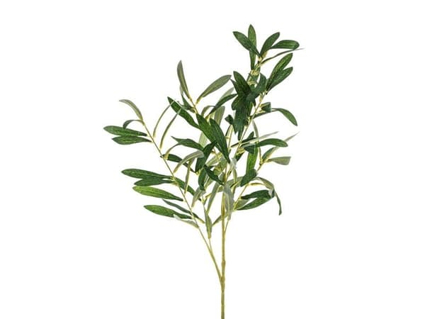 Olivengren 91 cm