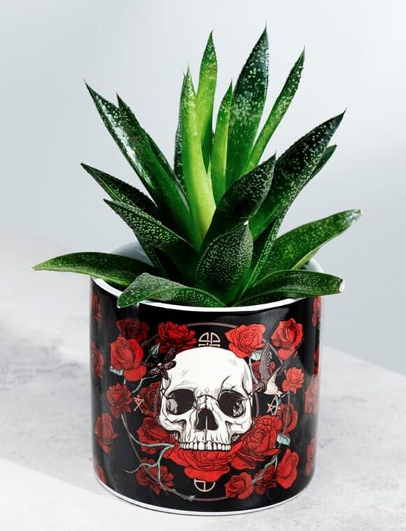 PKPLAN30 Kranier og roser blomsterpotte S
