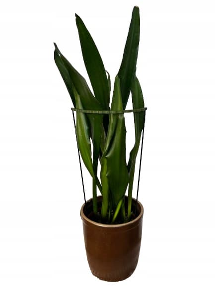 Støttering til blomsterplanter Klemmestøttering 2 i 1 M 33 cm