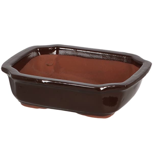 Terrakottapotte til bonsai 21xh6cm
