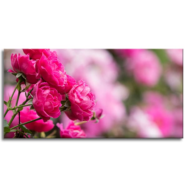 Lærredstryk Botaniske lyserøde roser 120x60 cm