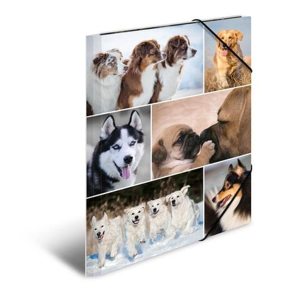 A4-mappe med hjørneelastikker - Hunde