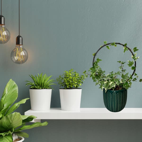 Stöd för klätterväxter Stöd för klätterblommor Pergolastege M 28 cm