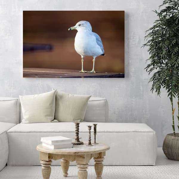 Lærredstryk Dyr Hvid Måge 60x40 cm