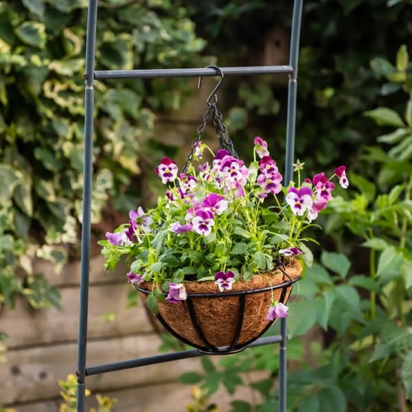 Loft hængende blomsterkurv 25 cm
