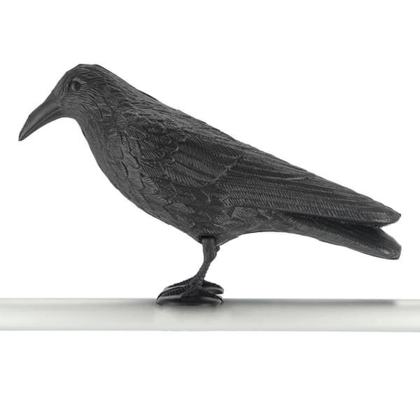 Kragefugleskræmmer