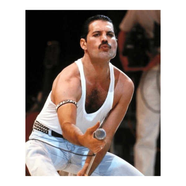 DIAMANTMOSAIK - FREDDIE MERCURY