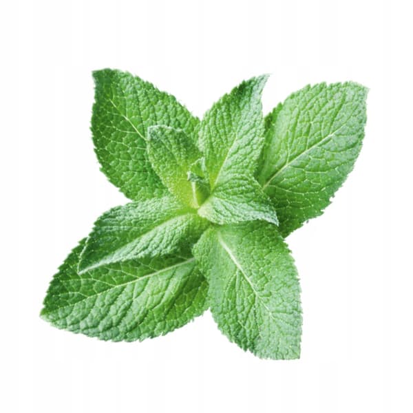 Superaromas Madsmag Frisk Mint 250 ml