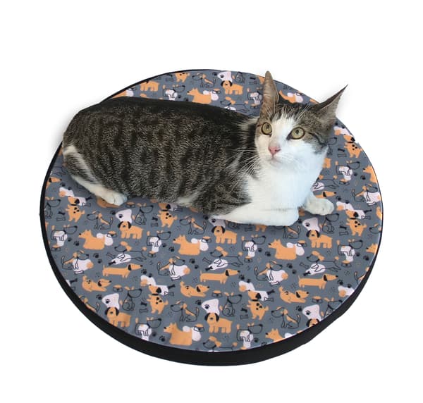 Katteseng / Elastisk skummadrasring 55 cm Grå Hunde