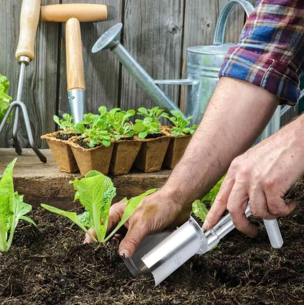 Blomlöksplanterare Plantering av växter Trädgårdsverktyg