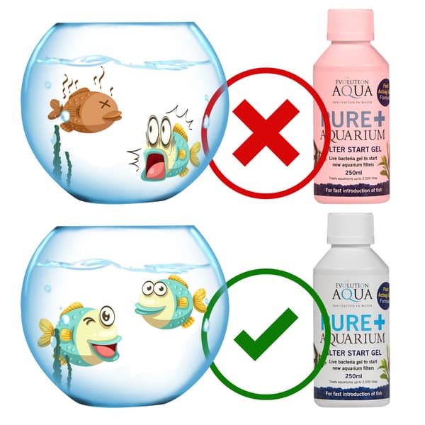 Evolution Aqua Pure+ Akvaario - bakteerit geelissä
