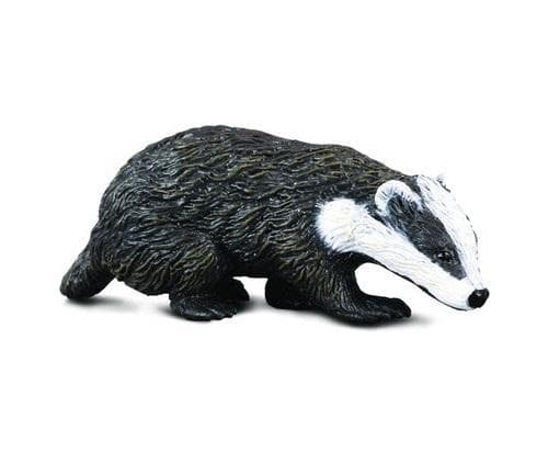 Mäyrä
