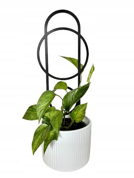 Stöd för klätterväxter Stöd för klätterblommor Pergolastege 38 cm