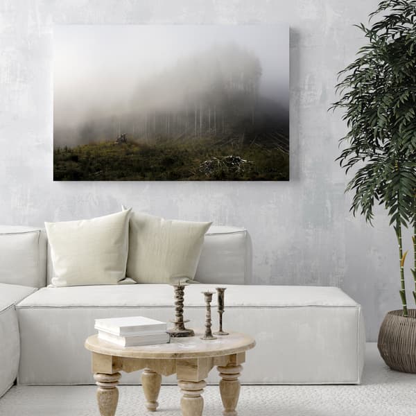 Canvastaulu Luonto Sumu metsässä 80x50 cm