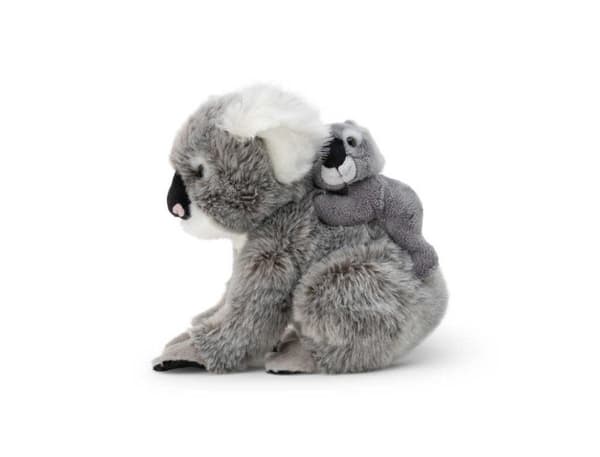 Koala med baby