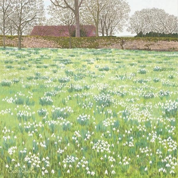 Snödroppekort med kuvert