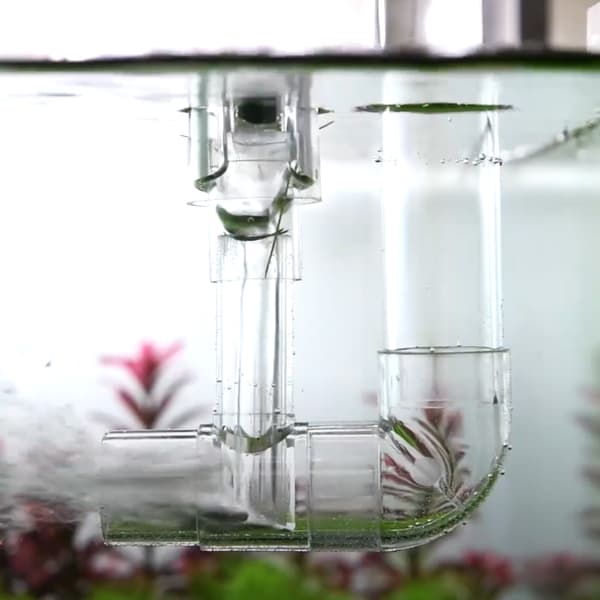 Neo Skimmer Invincible L - gennemgående filter