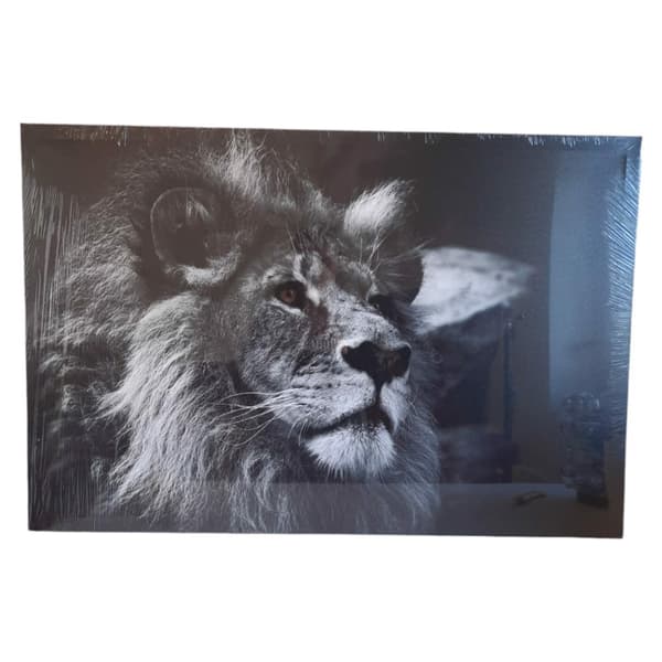 Fotomålning på duk Lejon 61 x 91 cm