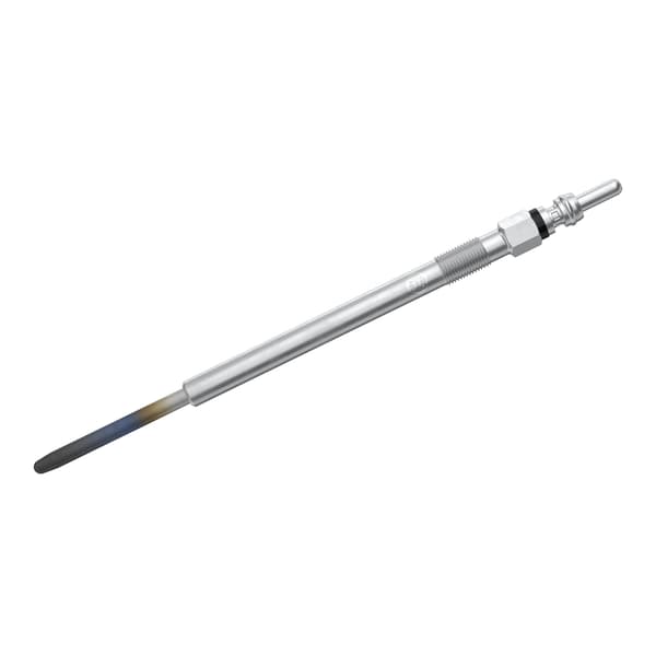 BS F 002 G50 048 BOSCH GLØDERØR