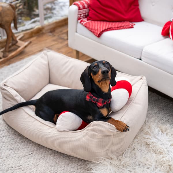 COMFY ortopedisk säng - storlek S Mocca