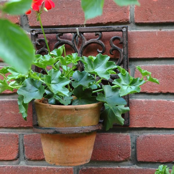 Gjutjärnsväggblomkruka
