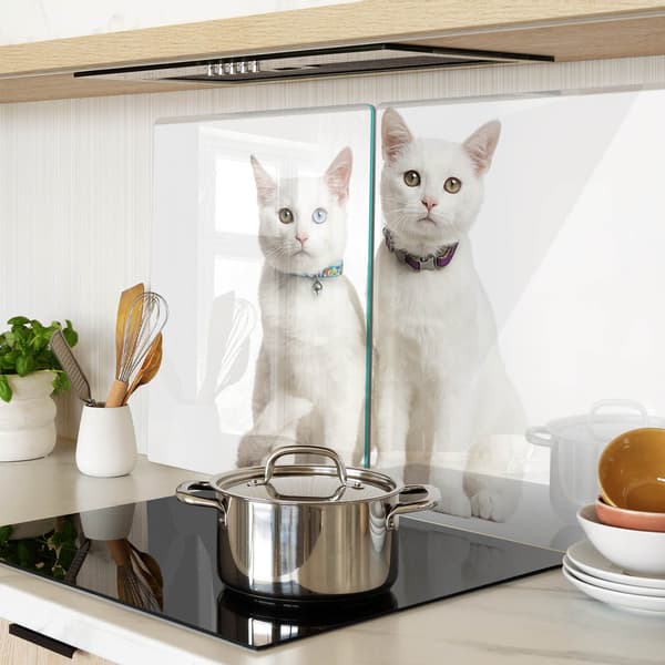 Dekorative glasplader til snacks, hvide katte, 2x40x52 cm