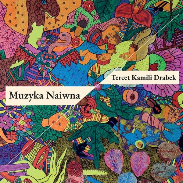 Naiivi musiikki (CD)