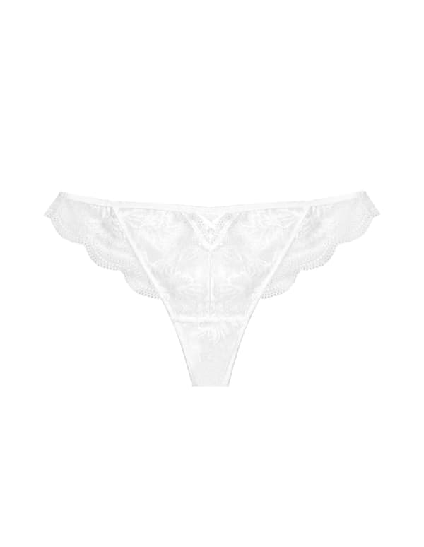 Taylor S Thong