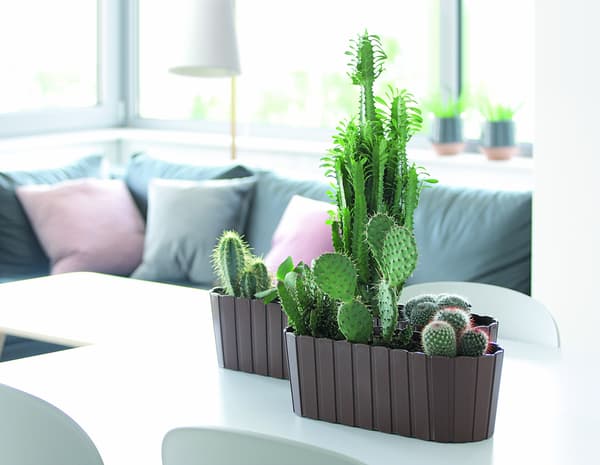 Boardee Case DDEC600 aflang urtepotte | Antracit