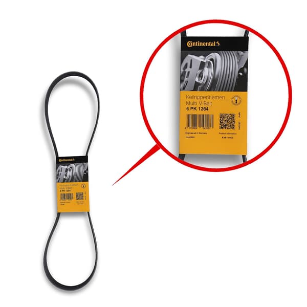 CONTITECH 6 PK 1264 multiribbet rem