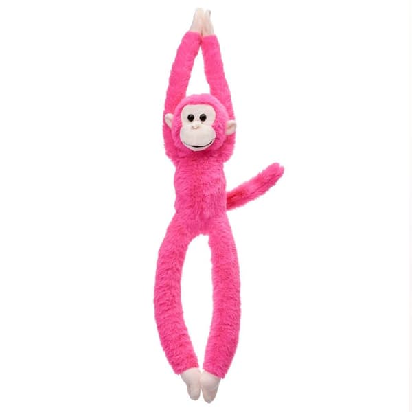 Hængende fuchsia abe