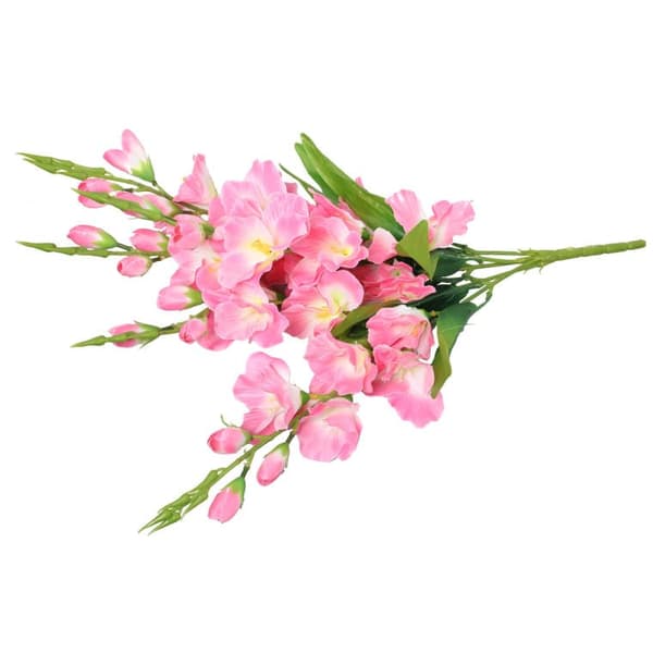 Buket med 5 lyserøde gladioler