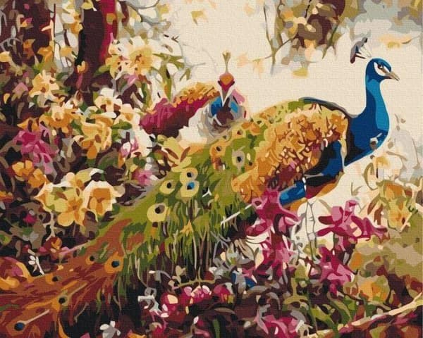 Målning med siffror Blommande påfåglar 40x50cm