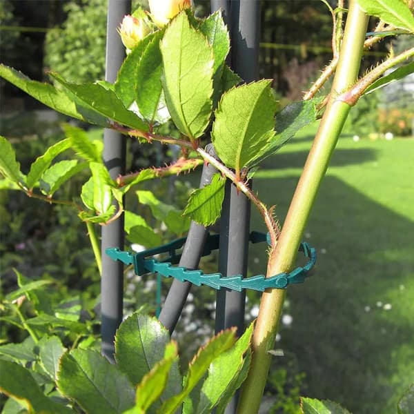 VÄXTKLIPS ÅTERANVÄNDBARA PLASTKLIPS 17 CM 100 ST.