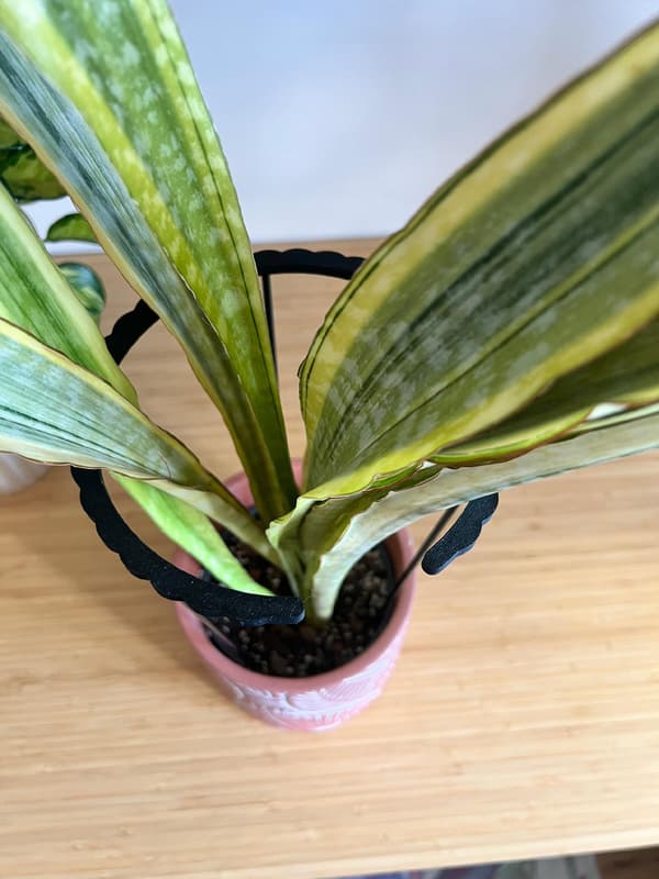 Støttering til blomsterplanter Klemme til støttering L 50x21cm