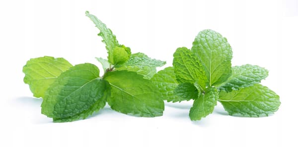 Super aromas Natural Light Mint -ruoka-aromi (tiiviste) 250 ml