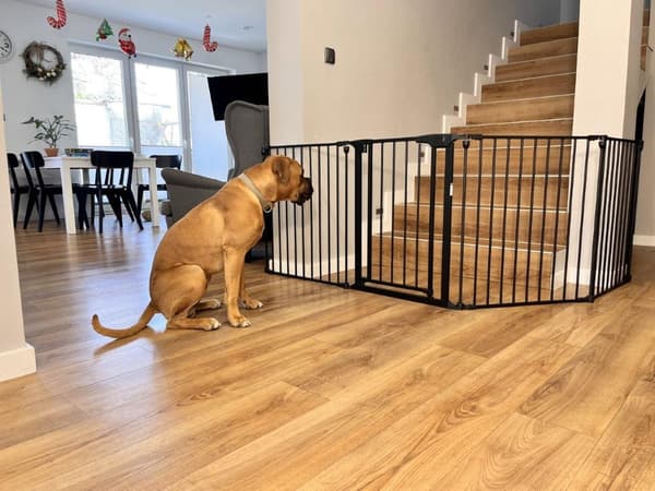 Universell sikkerhedsbarriär op til 331 cm til hunde og katte - sort loft, solid, stål, holdbar