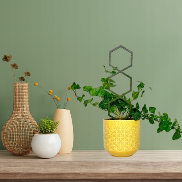Stöd för klätterväxter Stöd för klätterblommor Pergolastege M 31 cm