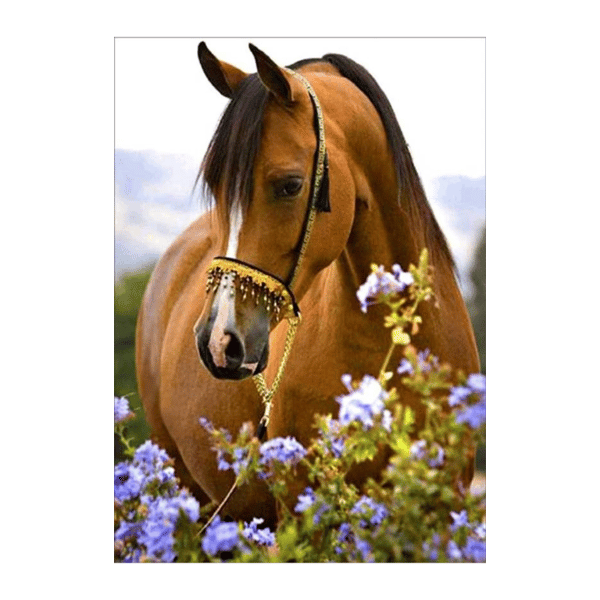 DIAMANTMOSAIK - HEST I BLOMSTER