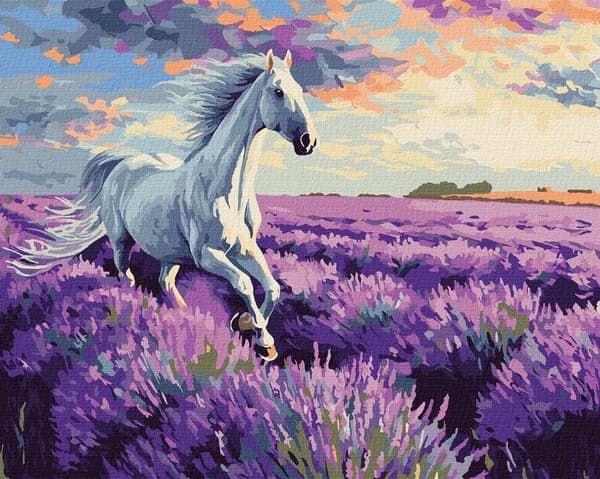 Målning med siffror - I lavendelfält 40x50